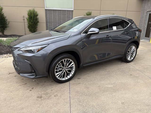2025 Lexus NX 350 Luxury AWD photo 3
