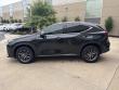 2024 LEXUS NX NX 350 SUV