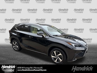 2021 LEXUS NX NX 300 SUV