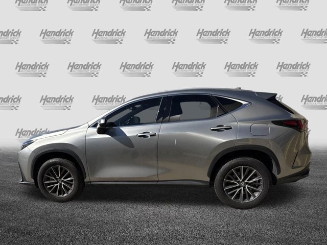 2025 LEXUS NX NX 250 Premium photo 4