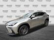 2024 LEXUS NX NX 250 SUV