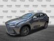 2024 LEXUS NX NX 250 SUV