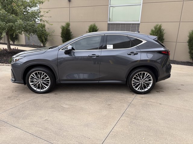 2025 Lexus NX 350 Luxury AWD photo 4