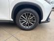2024 LEXUS NX 350 PREMIUM SUV