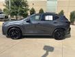 2025 LEXUS NX 350 F SPORT HANDLING AWD SUV