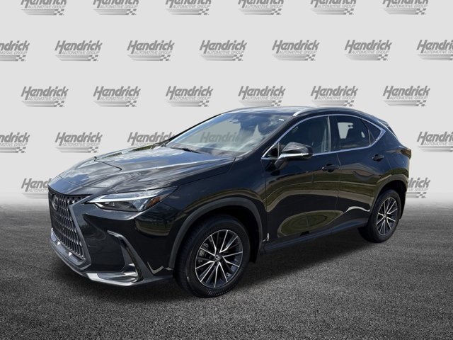 2022 Lexus NX 350h photo 4