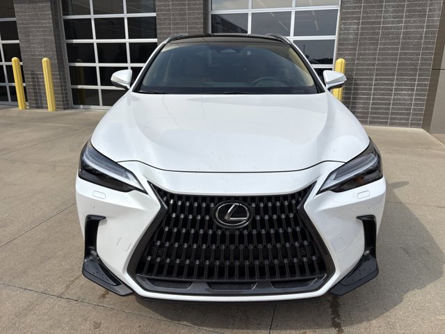 2025 Lexus NX 350 Luxury AWD photo 2