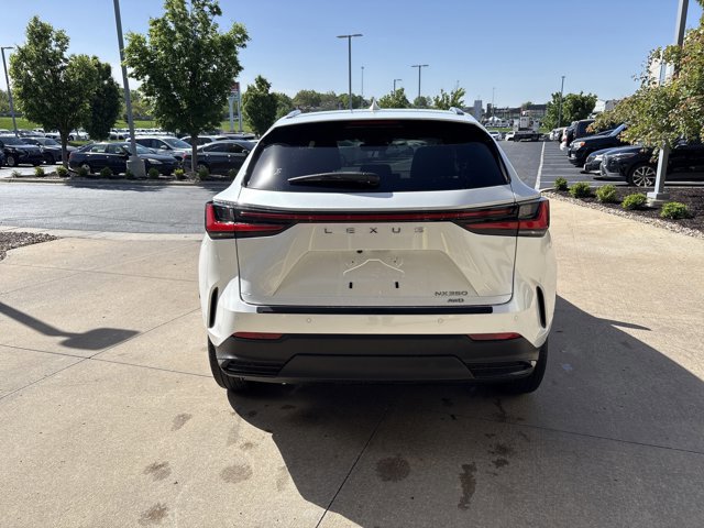2025 LEXUS NX NX 350 Premium photo 6