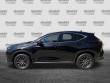 2025 LEXUS NX NX 350 SUV