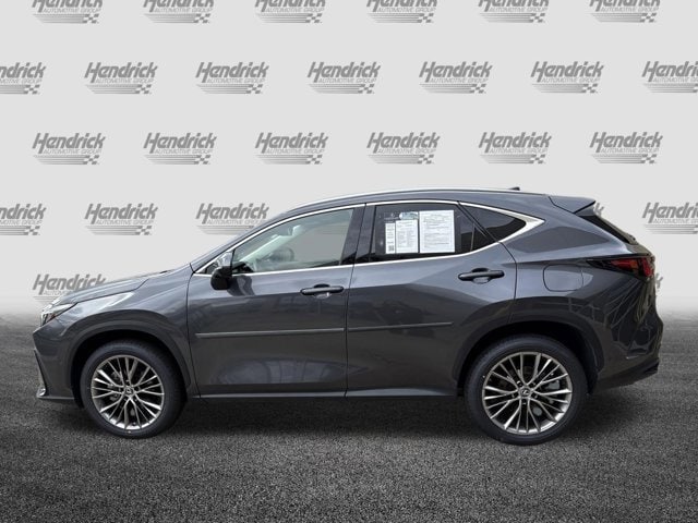 2023 LEXUS NX NX 350h Luxury photo 4