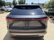 2025 LEXUS RX RX 350 Premium Plus SUV