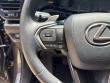 2024 LEXUS NX NX 250 SUV