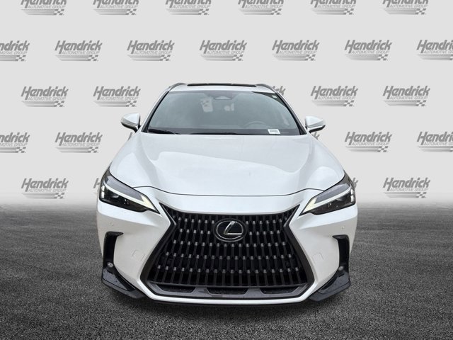 2025 Lexus NX 350 Premium photo 3