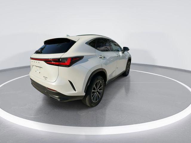 2024 LEXUS NX NX 350 Premium photo 6
