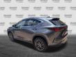 2024 LEXUS NX NX 250 SUV