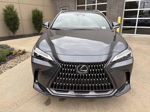 2026 Lexus NX 350h Premium photo 2