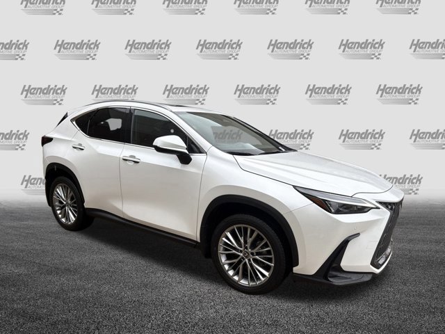 2025 Lexus NX 350 Premium photo 2