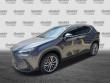 2023 LEXUS NX 350 LUXURY AWD SUV