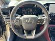 2025 LEXUS NX NX 250 Premium SUV