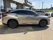 2021 LEXUS RX 350 F SPORT PERFORMANCE SUV