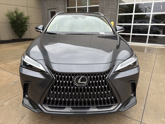 2025 Lexus NX 350 Premium photo 3