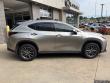 2025 LEXUS NX NX 250 Premium SUV