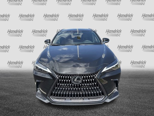 2022 Lexus NX 350h photo 3