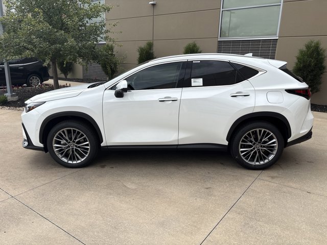 2026 Lexus NX 350 Luxury AWD photo 3