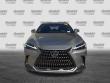 2025 LEXUS NX NX 250 Premium SUV