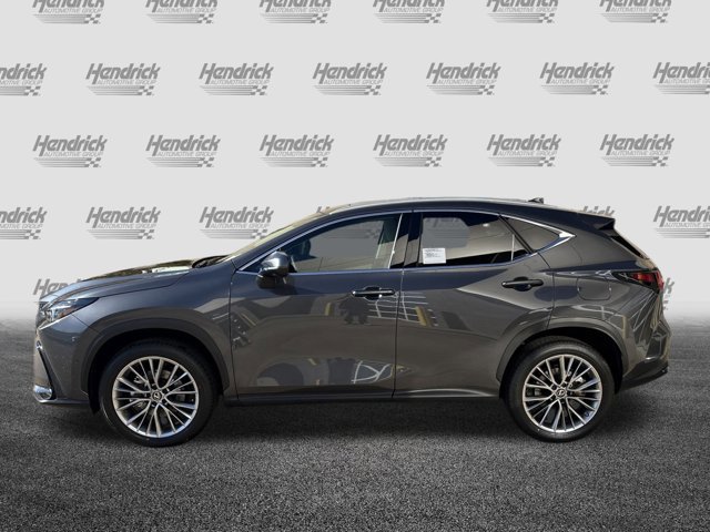 2026 Lexus NX 350h Luxury AWD photo 4