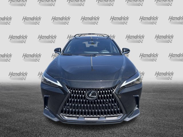 2023 Lexus NX 350h Premium photo 3