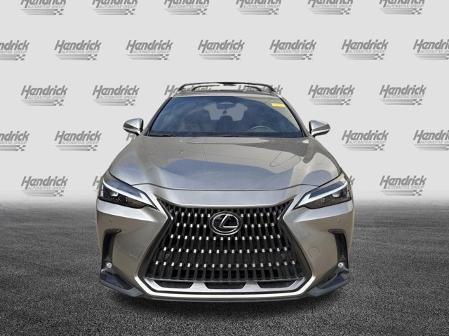 Used 2025 Lexus NX NX 250 Premium SUV