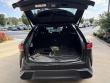 2024 LEXUS RX RX 350 F SPORT Handling SUV