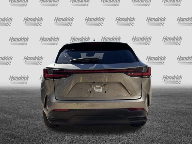 2025 LEXUS NX NX 250 Premium photo 6