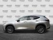 2024 LEXUS NX NX 250 SUV