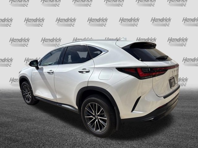 2024 LEXUS NX 350h AWD photo 6