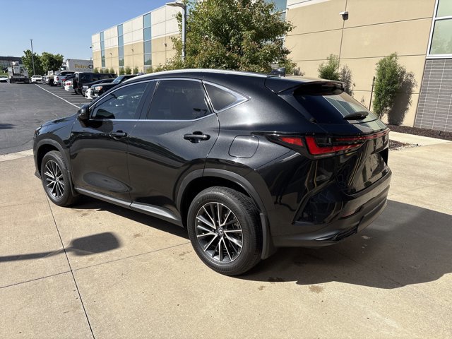 2024 LEXUS NX NX 350 Premium photo 5