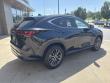 2025 LEXUS NX NX 350 SUV