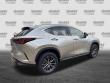 2024 LEXUS NX NX 250 SUV