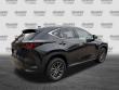 2024 LEXUS NX NX 250 Premium SUV