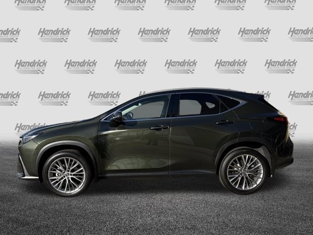 2025 LEXUS NX NX 350 Premium photo 4