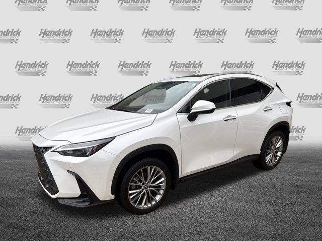 2025 Lexus NX 350 Premium photo 4