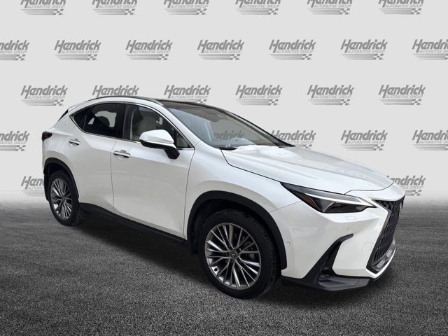 Certified 2025 Lexus NX 350 with VIN JTJHGCEZ1S2021905 for sale in Kansas City