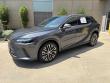 2025 LEXUS RX RX 350 Premium Plus SUV
