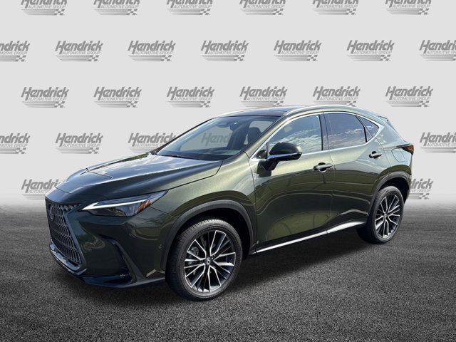 2025 Lexus NX 350 Luxury AWD photo 4