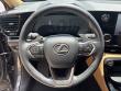 2024 LEXUS NX NX 250 SUV