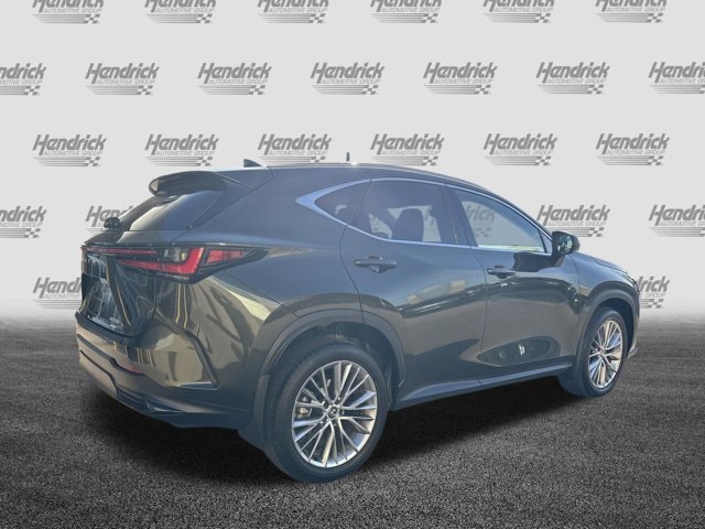 2025 LEXUS NX NX 350 Premium photo 3