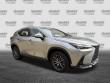 2024 LEXUS NX NX 250 SUV