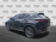 2023 LEXUS NX NX 350 Premium SUV
