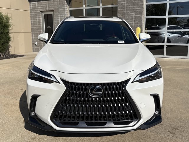 2025 Lexus NX 350 Premium photo 3